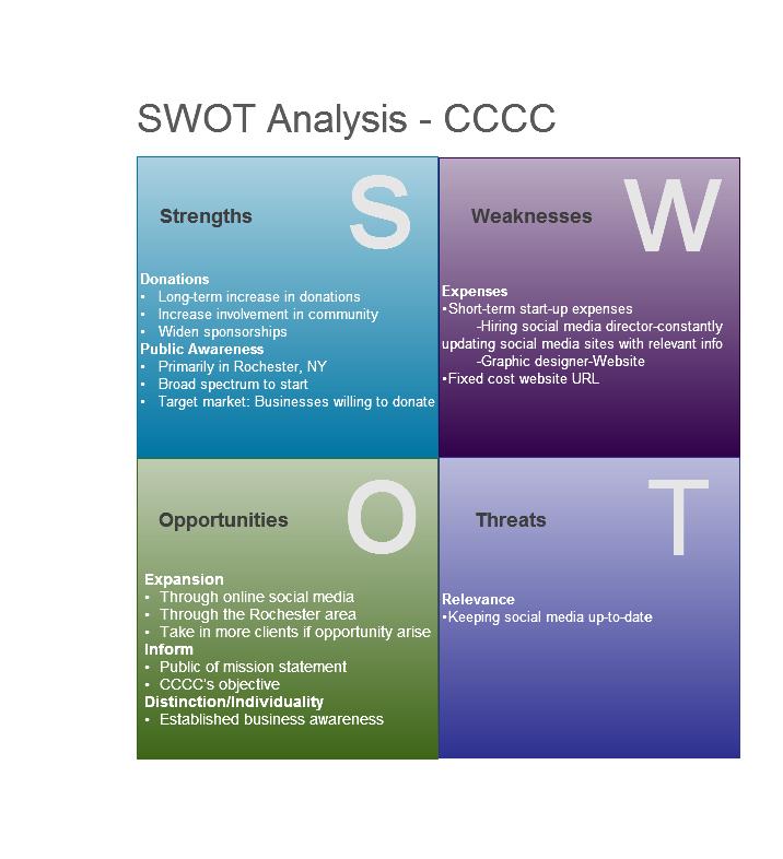 Relaince SWOT Analysis Essay Sample